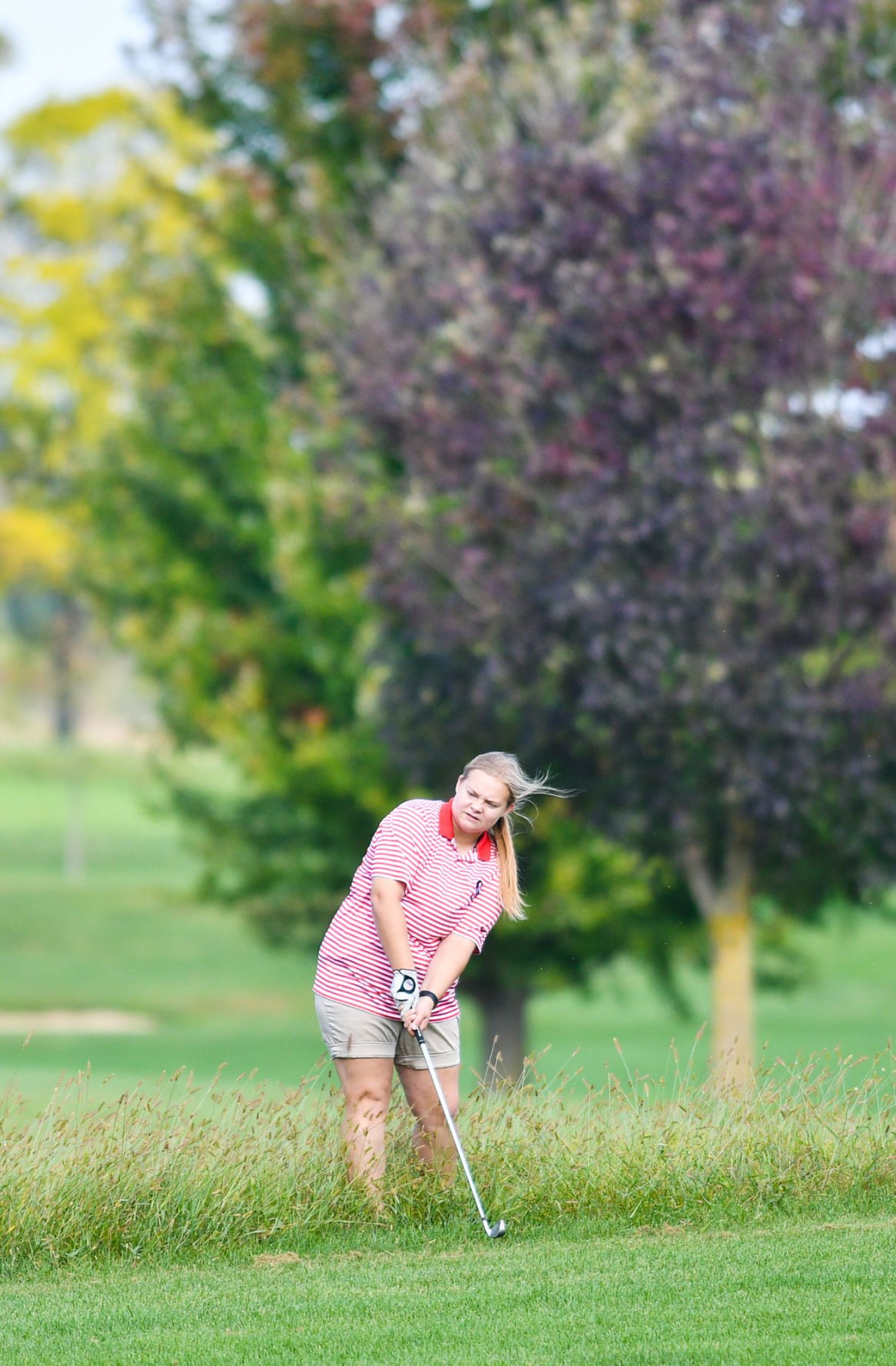 Class 1A Galva Regional Girls Golf Regional